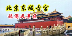 淫荡的免费网站中国北京-东城古宫旅游风景区